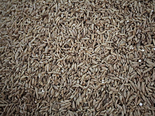 金寨天麻專賣店 金寨天麻價(jià)格 金寨天麻哪里買 途牛移動站