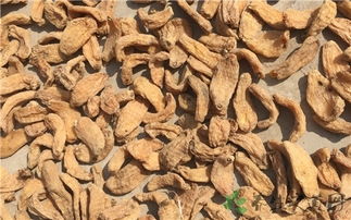 天麻補陰還是補陽