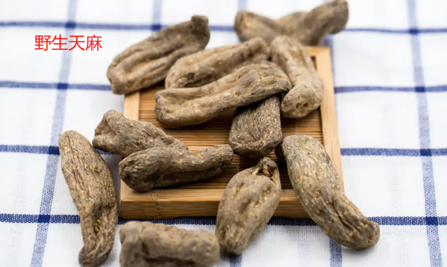 野生天麻和人工天麻的區別有:顏色不同,個頭不同,形狀不同.