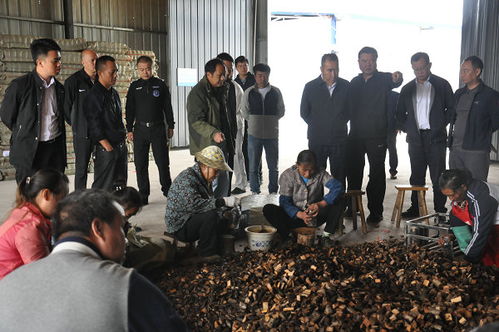 州委書記桑維亮赴鎮(zhèn)遠(yuǎn)縣氵舞陽鎮(zhèn)調(diào)研林下經(jīng)濟(jì)天麻產(chǎn)業(yè)